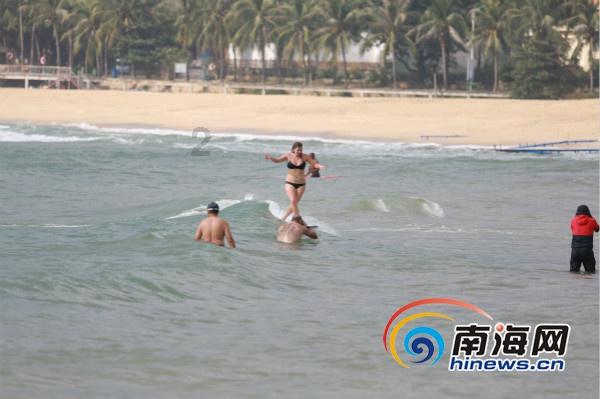 了解停电了怎么给小太阳鹦鹉保暖一下?平台的领先知识